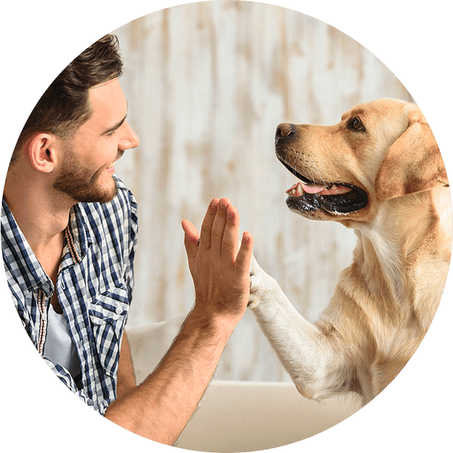 Homem com cachorro